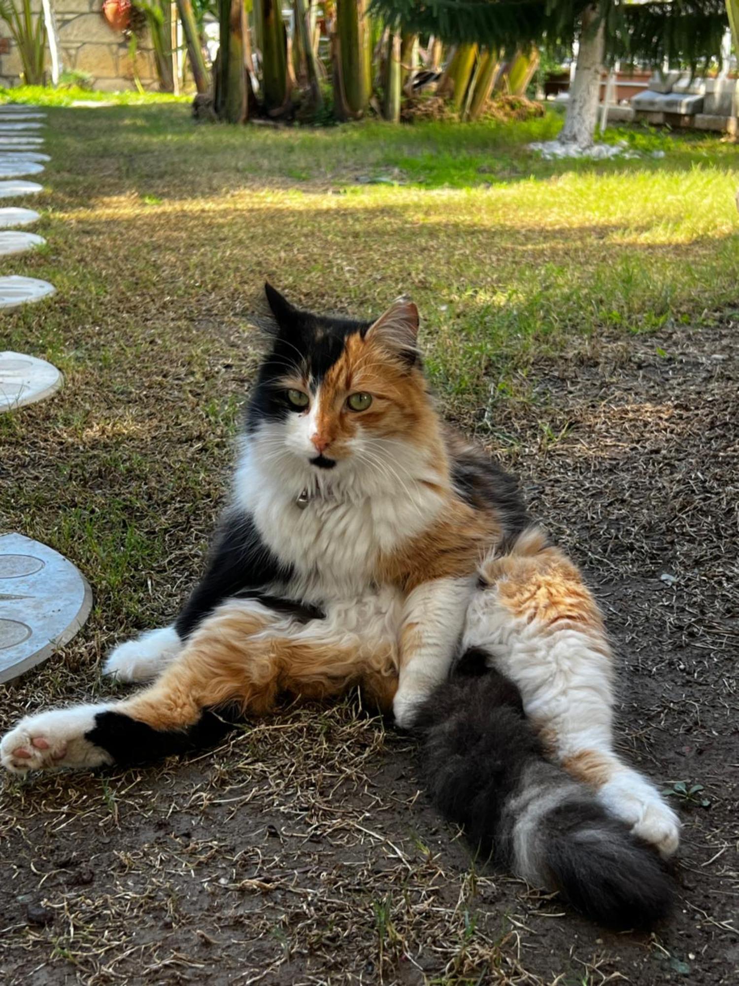Luna Αλακάτι Εξωτερικό φωτογραφία